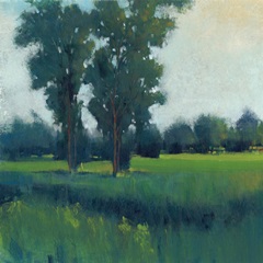Afternoon Sun I