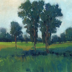 Afternoon Sun II