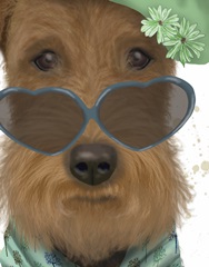 Airedale and Heart Glasses