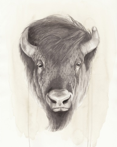 American Wilderness II