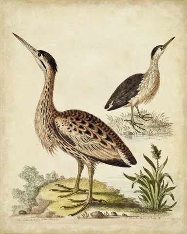 Antique Bird Menagerie III