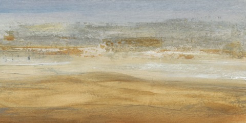 Approaching Haboob II