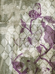 Arabesque Butterflies IV