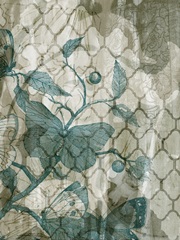 Arabesque Butterflies V