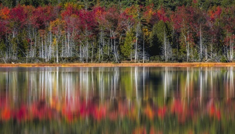 Autumn Reflections
