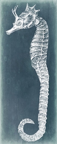 Azure Seahorse I