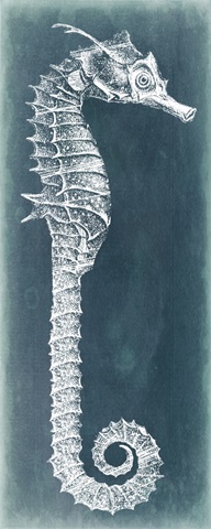 Azure Seahorse II