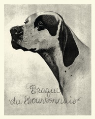 BandW Brague du Bourbonnais