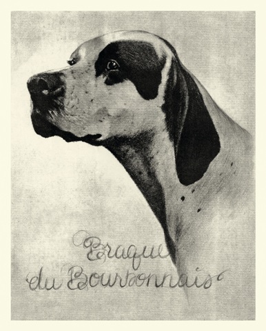 BandW Brague du Bourbonnais