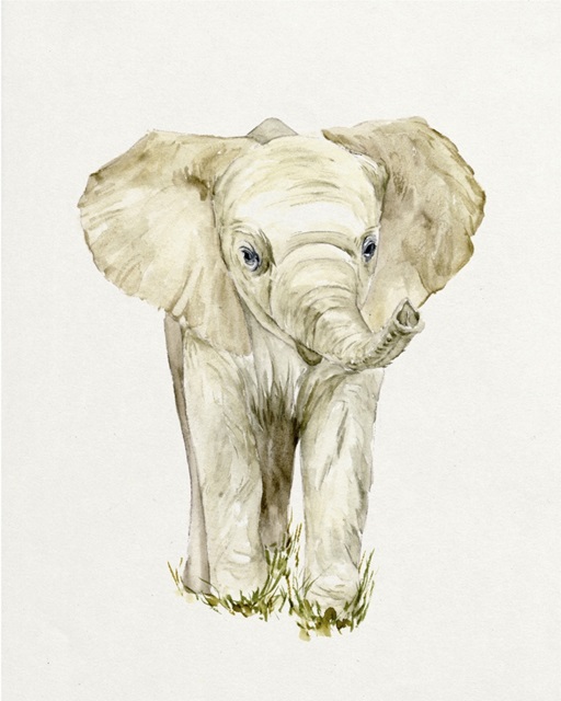 Baby Elephant II