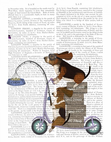 Basset Hound Scooter