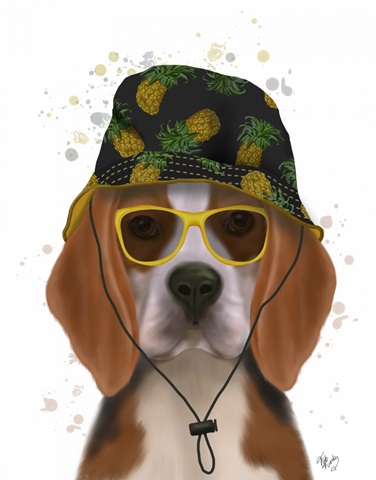 Beagle and Bucket Hat