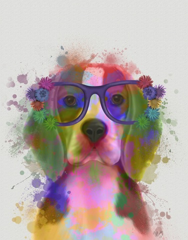 Beagle Rainbow Splash 2