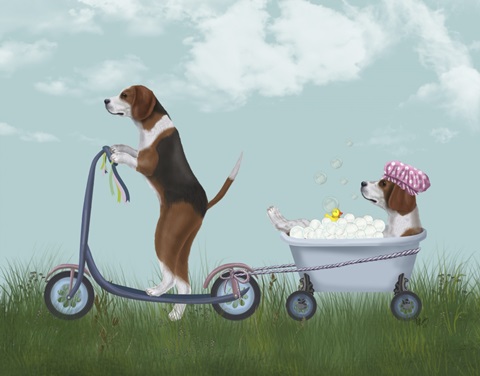 Beagle Scooter