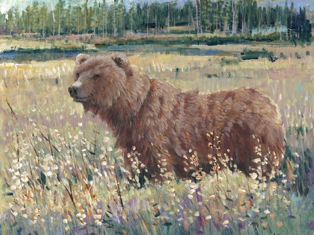 Bear in the Field