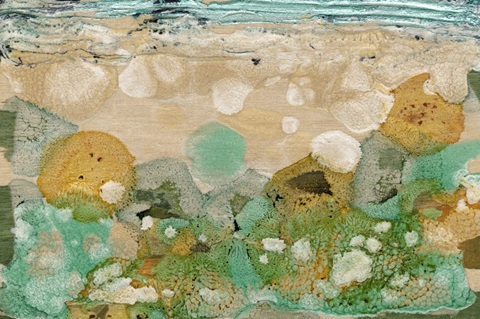 Beneath the Waves II