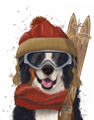 Bernese Ski Dog