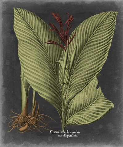 Besler Dramatique II