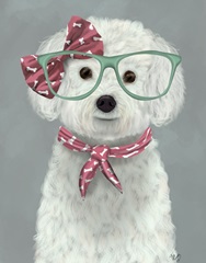 Bichon Frise with Glasses and Scarf