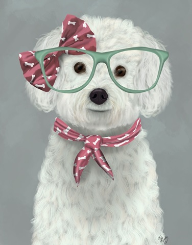 Bichon Frise with Glasses and Scarf