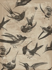 Bird Pattern II