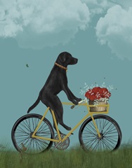 Black Labrador on Bicycle - Sky