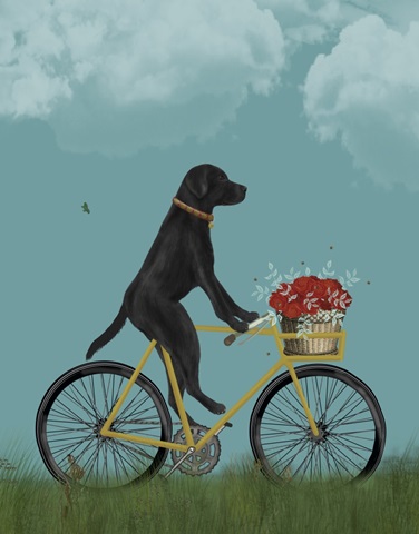 Black Labrador on Bicycle - Sky