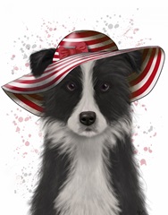Border Collie in Red and White Floppy Hat