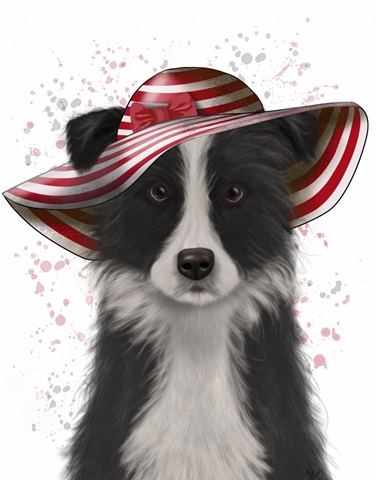 Border Collie in Red and White Floppy Hat