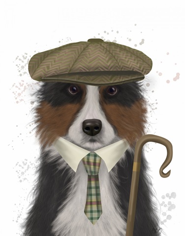 Border Collie Shepherd