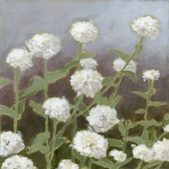 Botanical Garden Study I