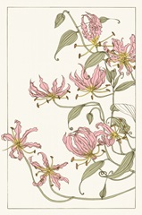 Botanical Gloriosa Lily I