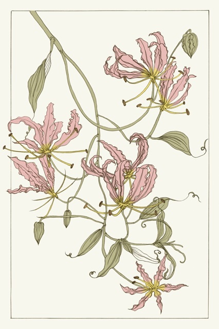 Botanical Gloriosa Lily II