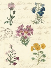Botanical Journal I