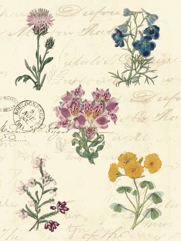 Botanical Journal I
