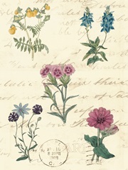 Botanical Journal III