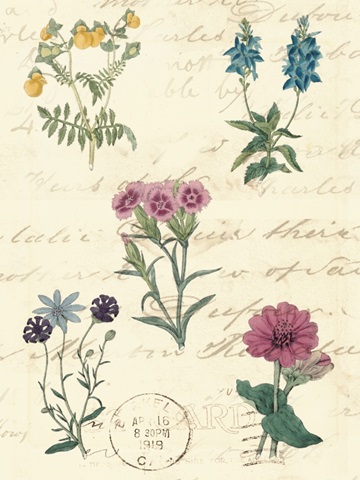 Botanical Journal III