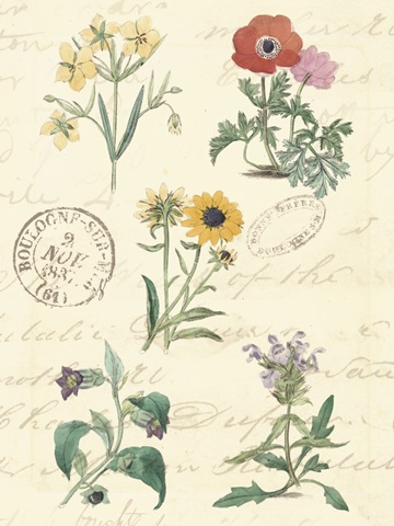 Botanical Journal IV