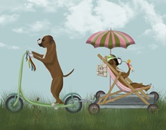 Boxer Scooter