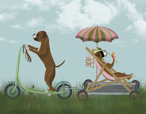 Boxer Scooter