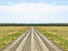 Bucolic Scene IX