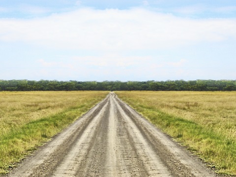 Bucolic Scene IX
