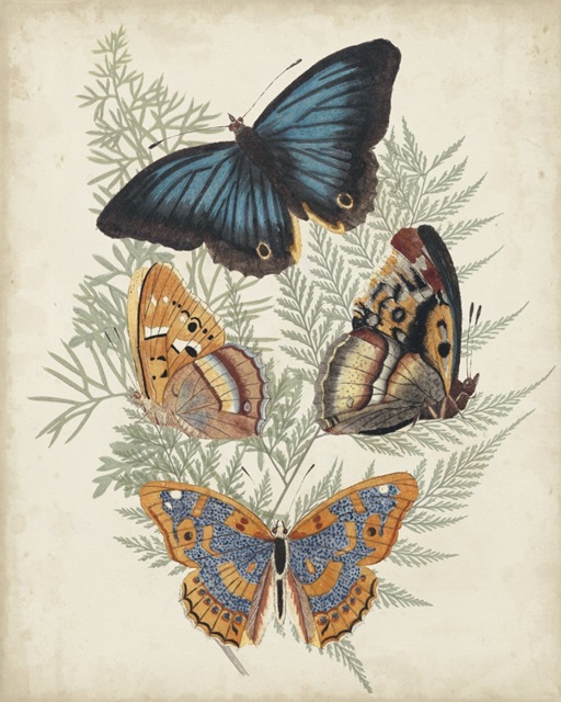 Butterflies and Ferns V
