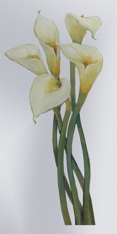 Callas on Silver I