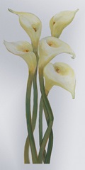 Callas on Silver II