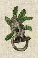 Canopy Monkey I