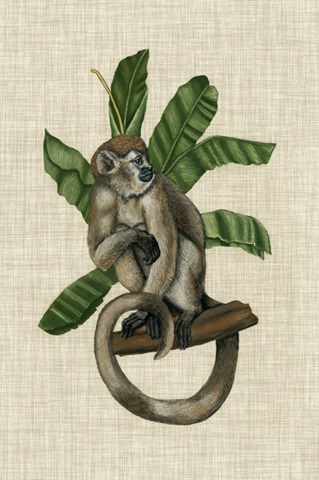 Canopy Monkey I