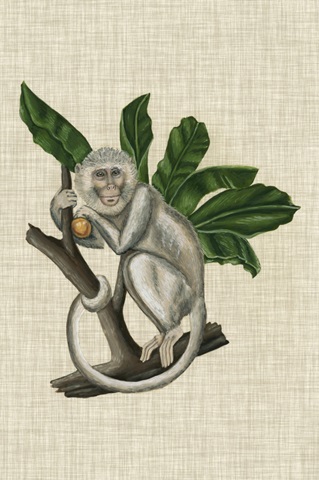 Canopy Monkey II