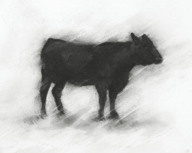 Charcoal Bovine Study II