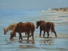 Chincoteague Ponies